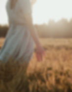 Field At Sunset