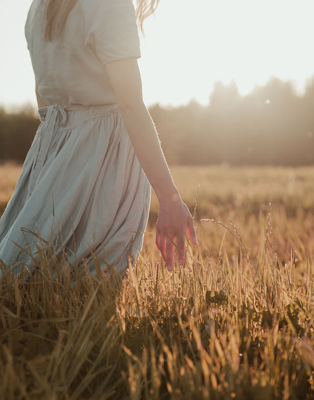 Field At Sunset
