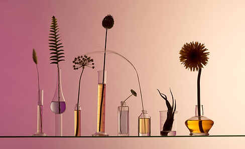 Botanical Laboratory Display