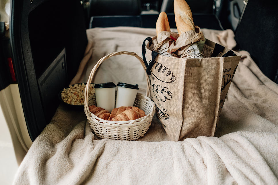 Picnic in the Car