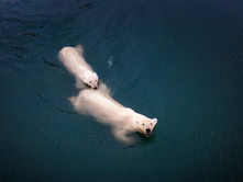 Navigating Bull and Bear Markets: Insights and Tips for Investors in 2023