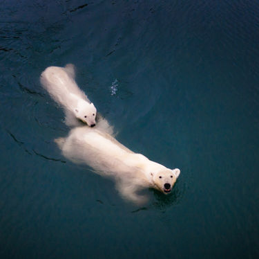 WIE MAN MIT DIALOGEN DEM KLIMAWANDEL BEGEGNEN KANN