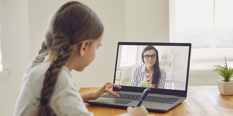 Individualios lietuvių kalbos pamokos internetu