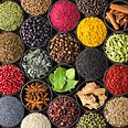 Various Indian Spices