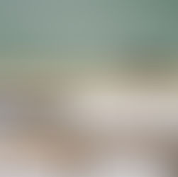 My teaching philosophy for English