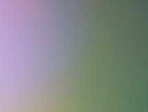 Hotels-Models14015 2_edit_new 2.jpg