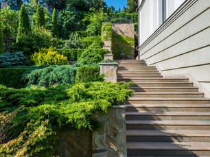 Ooops, Someone Fell in My House, Now What? A Quick Guide to Protecting Your Family and Finances