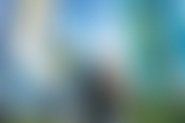 The Productivity Trap