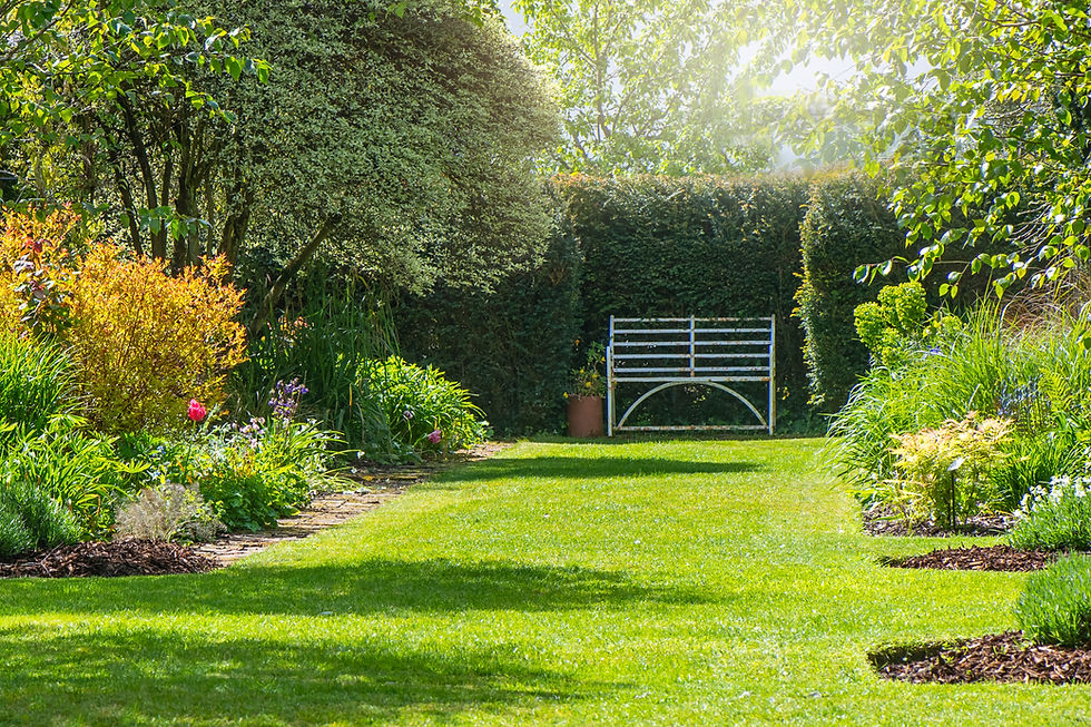 Manicured green lawn with a decorative white wooden bench and lush borders