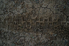 Cracked Mud 