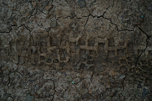 Cracked Mud