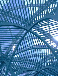 Lines
