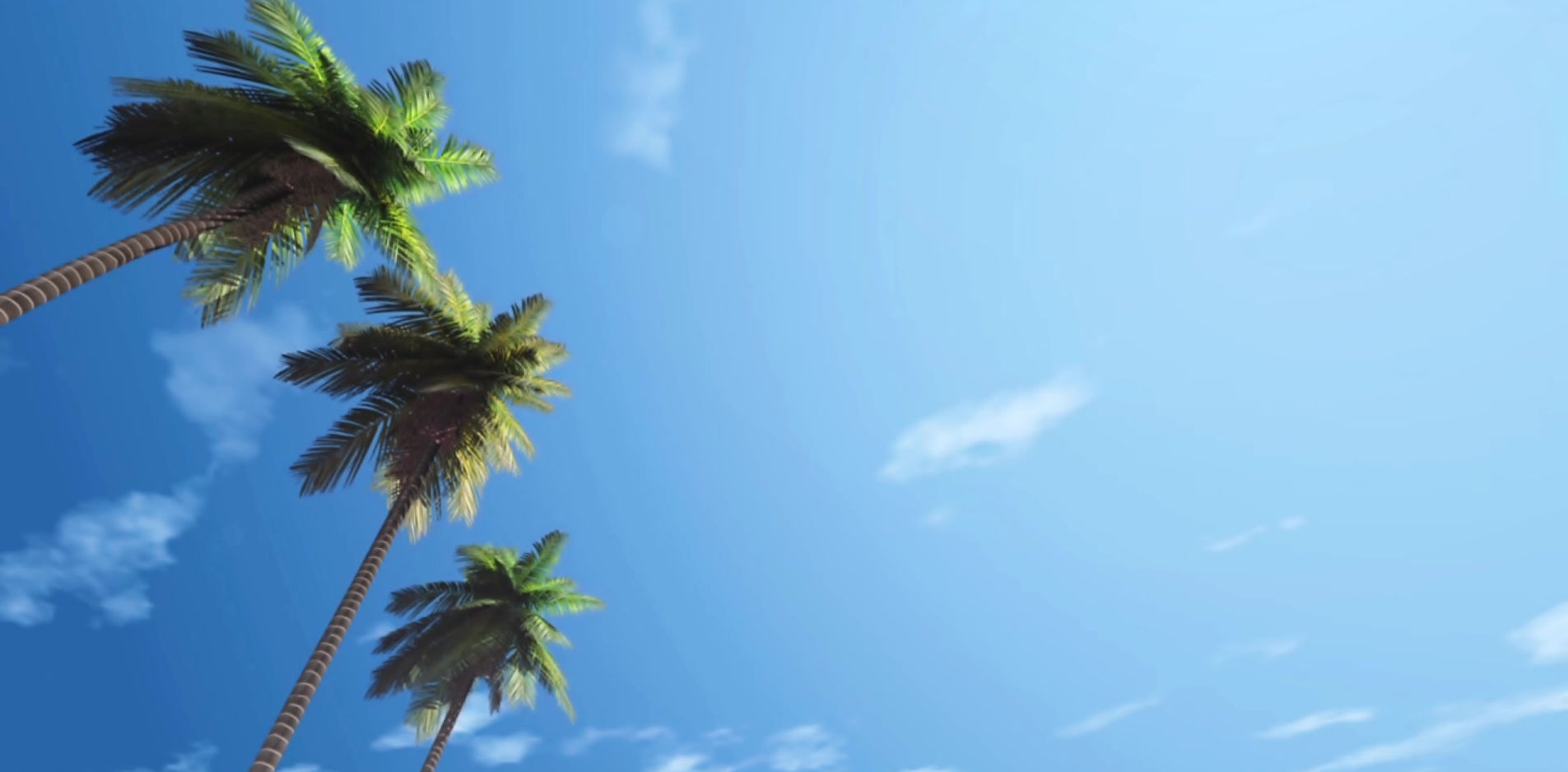 Ransom Road RV Park photo 3