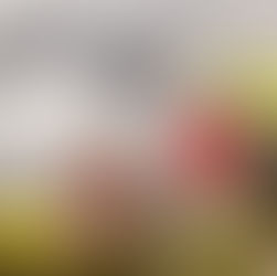 Tour privado com guia