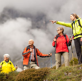 Tour privado com guia