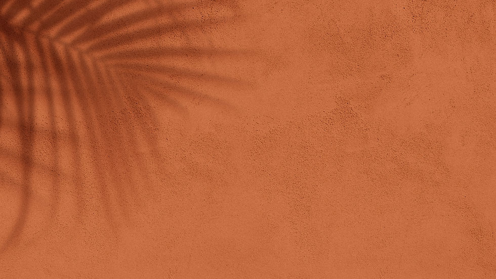 Terracotta Wall Shadow