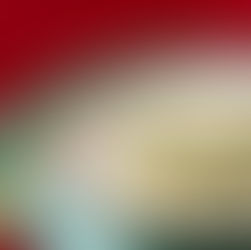 Businesslunch mit Schlossflair – Wochenkarte bei anna IM SCHLOSS