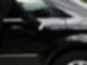 Chauffeur opening car door