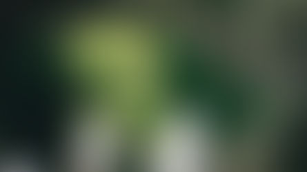 The Cost of Dreaming Big