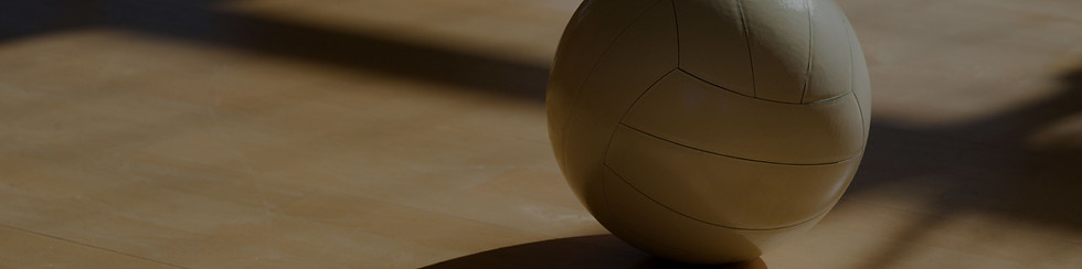 Volleyball On Court