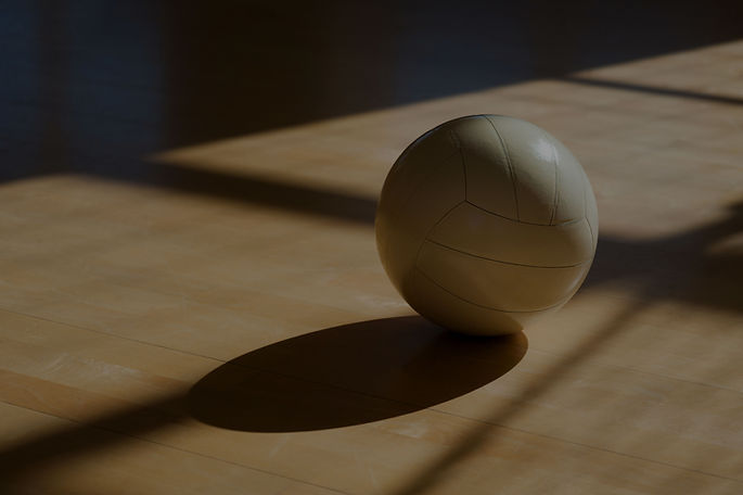 Volleyball On Court