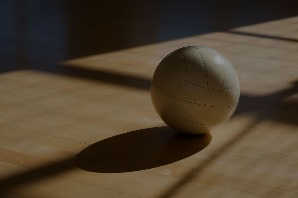 Volleyball On Court