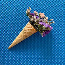 Flowers in Cone
