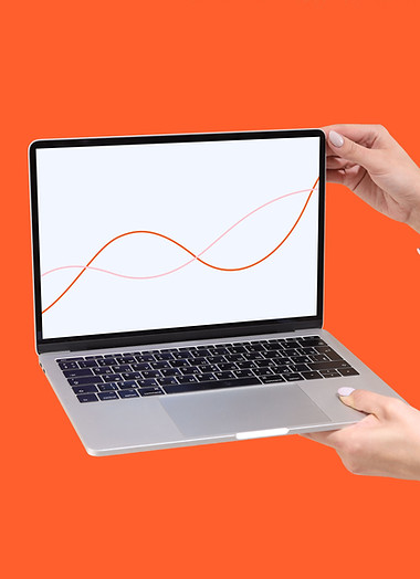 Abstract Graphs