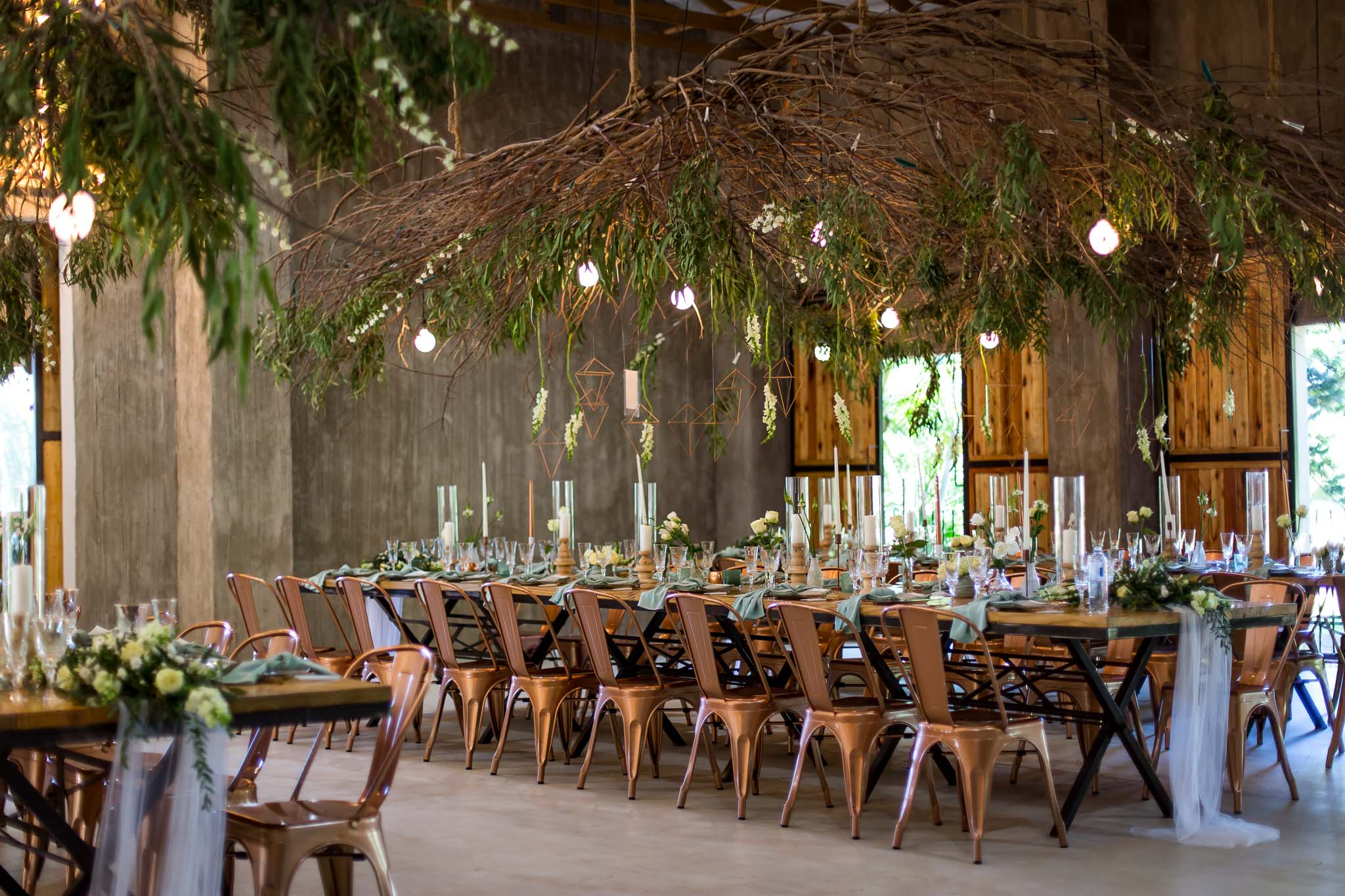 Arranged Food and Objects