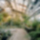 Botanical Greenhouse