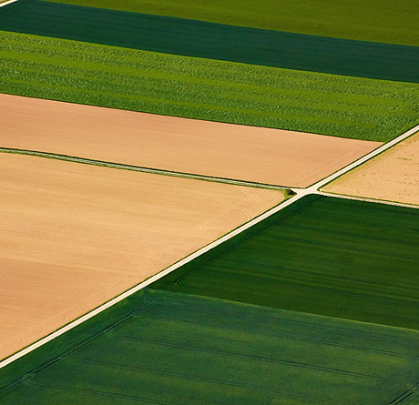 Aerial Farmland View