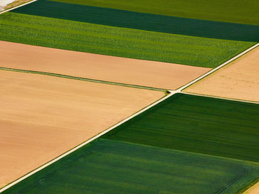 Your Organization Does Not Have a Climate. It Has Several