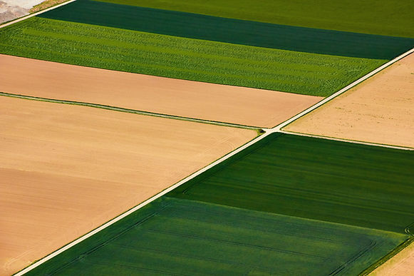 Vue aérienne des terres agricoles