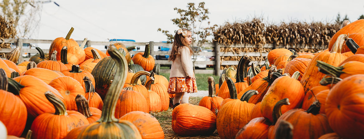 Pumpkin Patch Scene