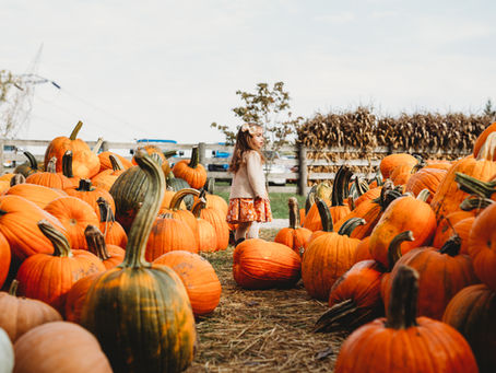 The Rise of "You-Pick" Farms: A Profitable and Popular Trend in Modern Agriculture