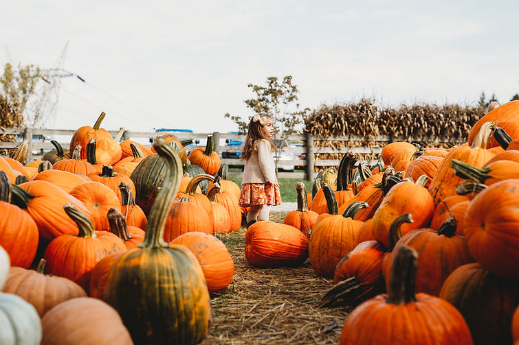Girl in Pumpkin Farm