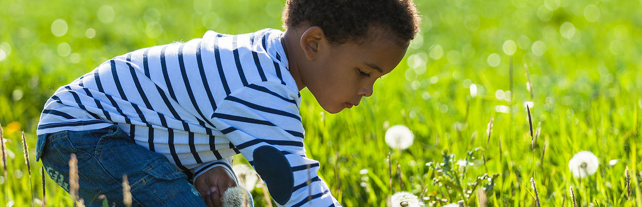 Picking Flowers