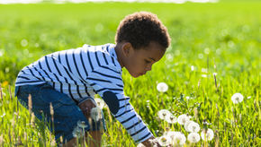 Meu filho deve receber pensão alimentícia até qual idade?