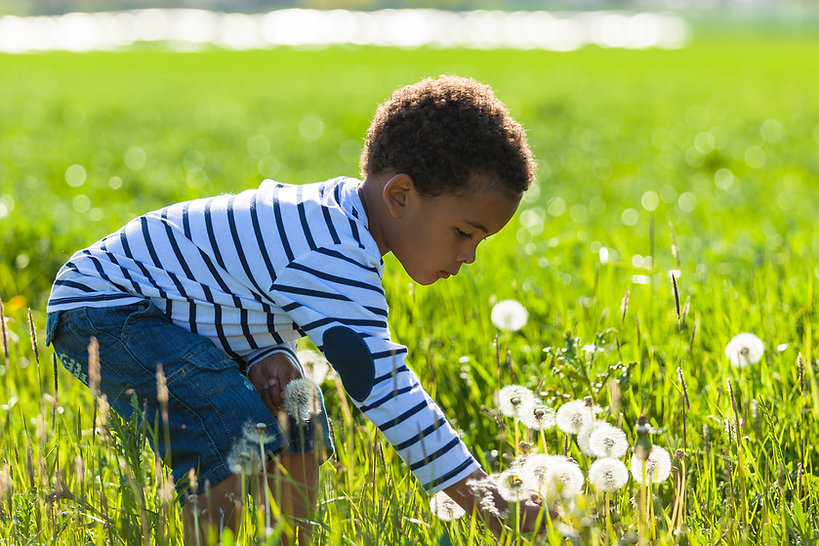 Picking Flowers