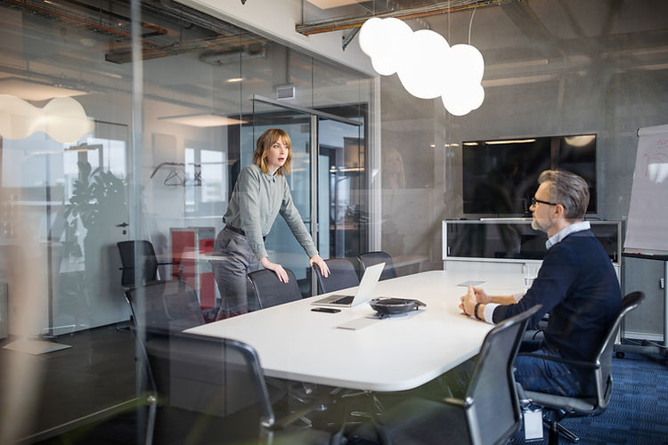Office Meeting Discussion with acoustic walls