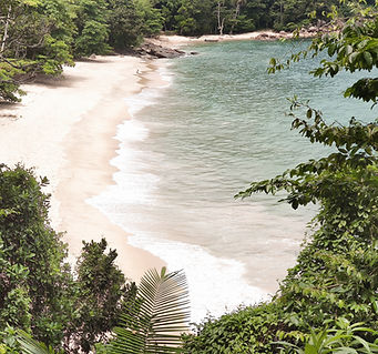 Plage privée