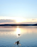 Sunset Kayak