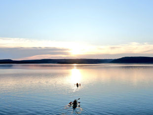 Shedding Some Light on Subject-Verb Agreement