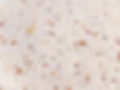 Marble Texture