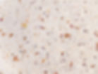 Marble Texture