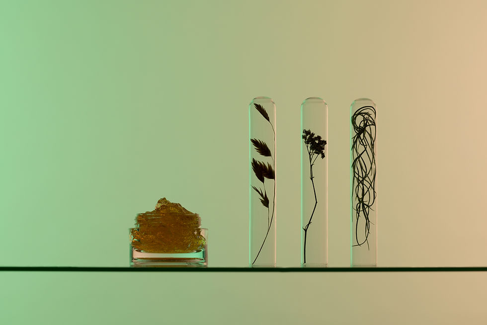 Plantes en tubes à essai