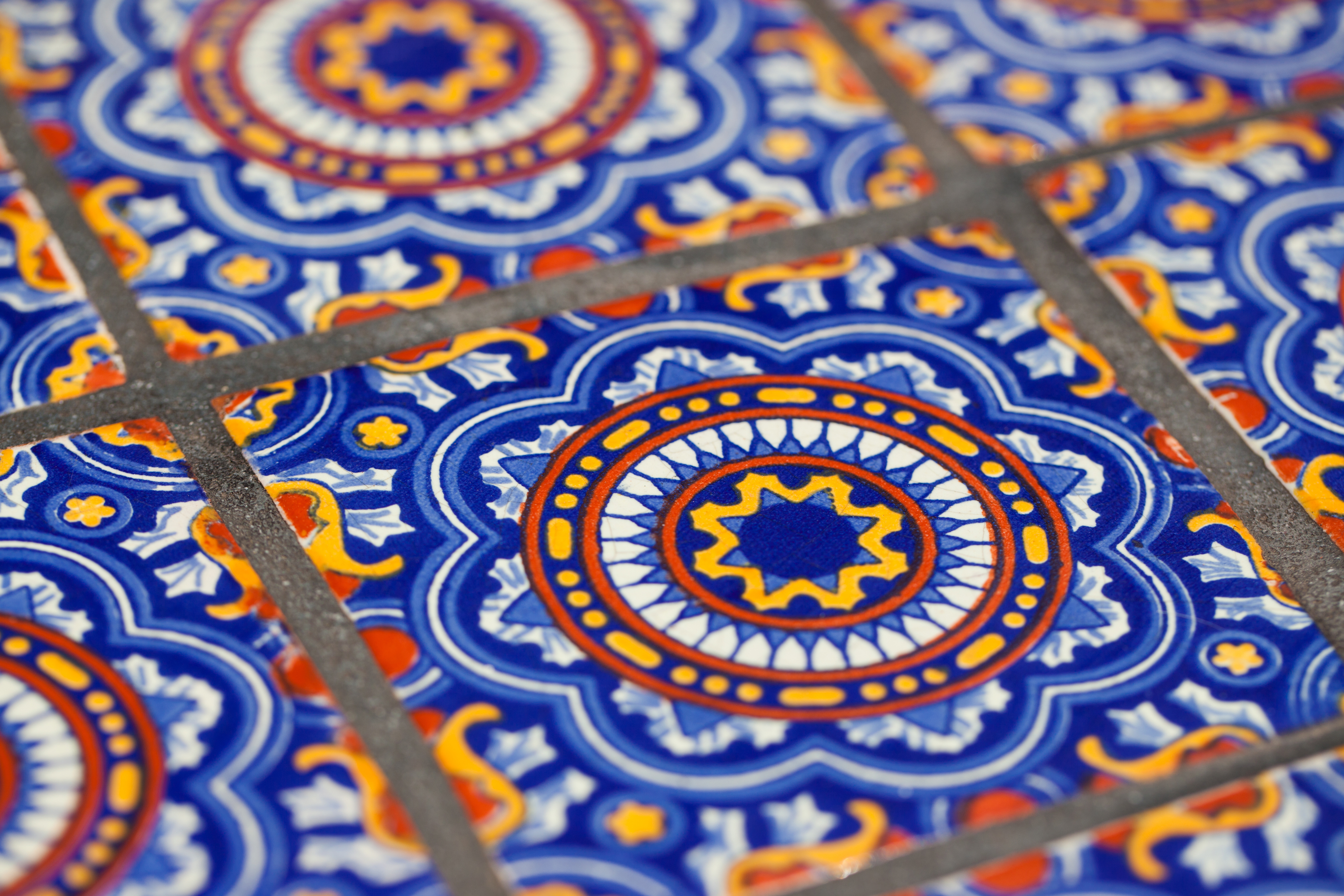 Arranged Food and Objects