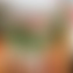 Our New Family Tradition: A Month-Long Celebration of Countries 🌍