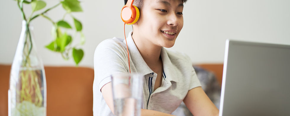 Student in online class.
