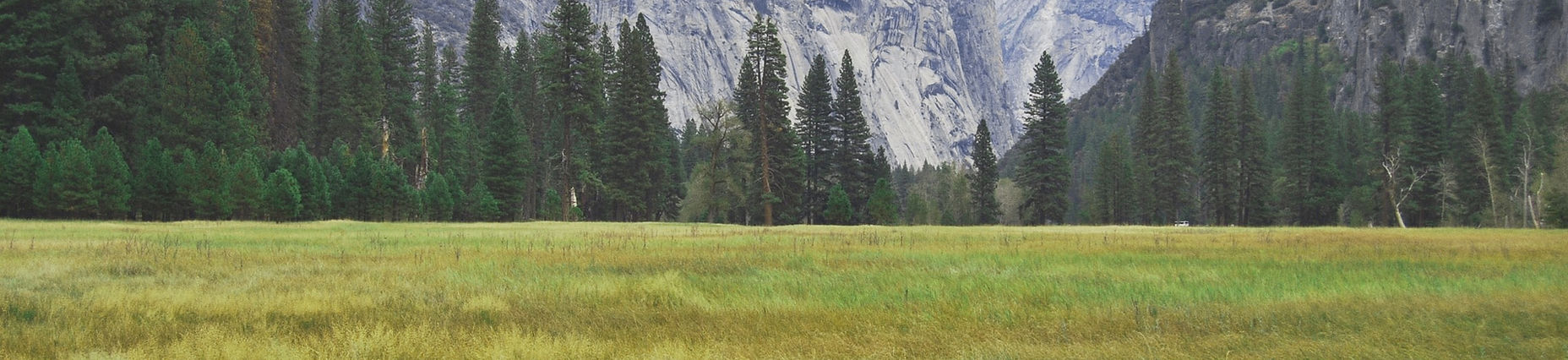 Pareja en la naturaleza